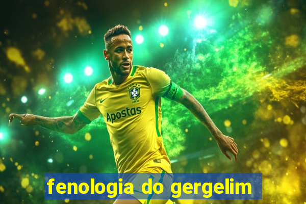 fenologia do gergelim